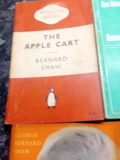 Theatrical play scripts