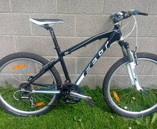 Ladies Felt bicycle MTB