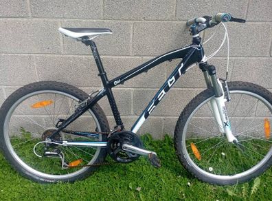 Ladies Felt bicycle MTB