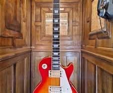 Aria Pro II Leopard