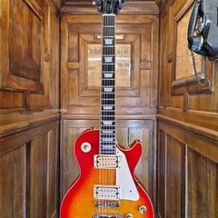Aria Pro II Leopard