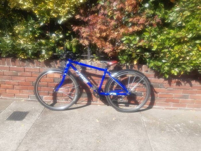 Frog 73 kids bike