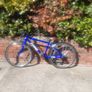 Frog 73 kids bike Image 2