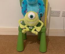 Disney Sully & Mike Pair.