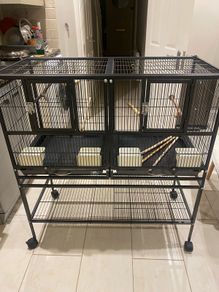 bird cage