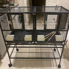 bird cage