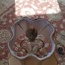 table lamp Image 4