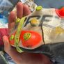 adidas Predator Boots UK12 Image 5