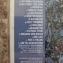The Stone Roses 5 CD Lot Image 5