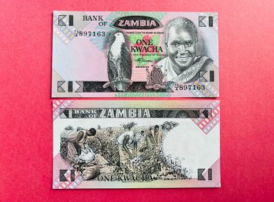 Zambia  1  KWACHA   1980  Pick  23b  ( Uncirculated )