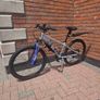 Carrera mountain bike Image 2
