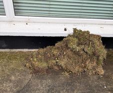 Topsoil and Grass