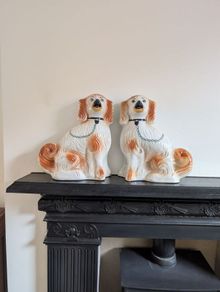Large Staffordshire fireside spaniels (Dogs)