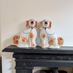 Large Staffordshire fireside spaniels (Dogs)