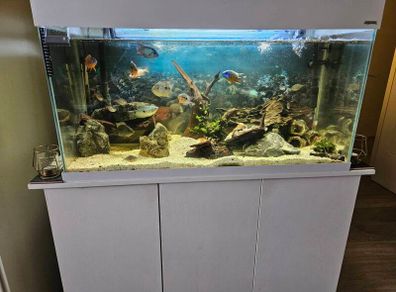 Complete fish tank