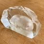 Small art glass sculpture of a seal by Mats Johansson from Sweden Image 5