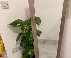 New Mirror