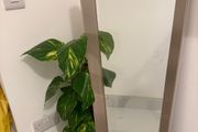 New Mirror