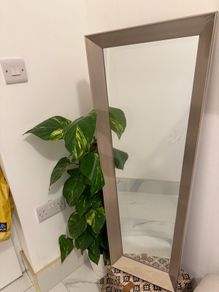 New Mirror