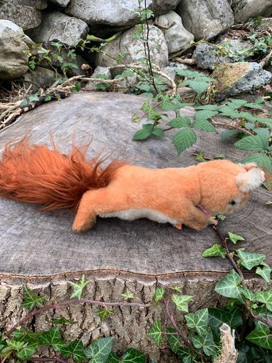 Vintage Steiff squirrel Cosy Eich