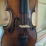 15 inch Viola Image 4