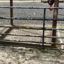 Galvanised Gates 14ft & 10ft 6 Image 6