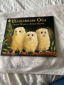 Irish language children's book