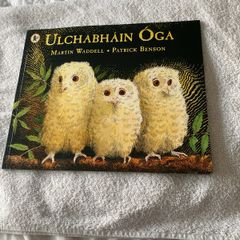 Irish language children's book