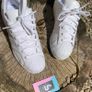 Classic Adidas Superstar White Cream Image 2