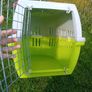 large cat small dog carrier Image 3