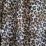 Fab shirt dress Image 3