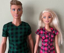 Barbie and Ken( 2016 Fashionista Ken)