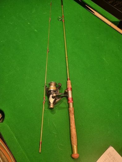 fishing rods and reels