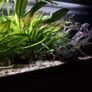 Aquarium 200L Image 4