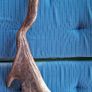 Natural Antlers Image 3