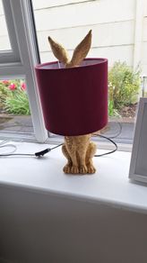 Table Lamp can meet Dublin 18 or Wexford
