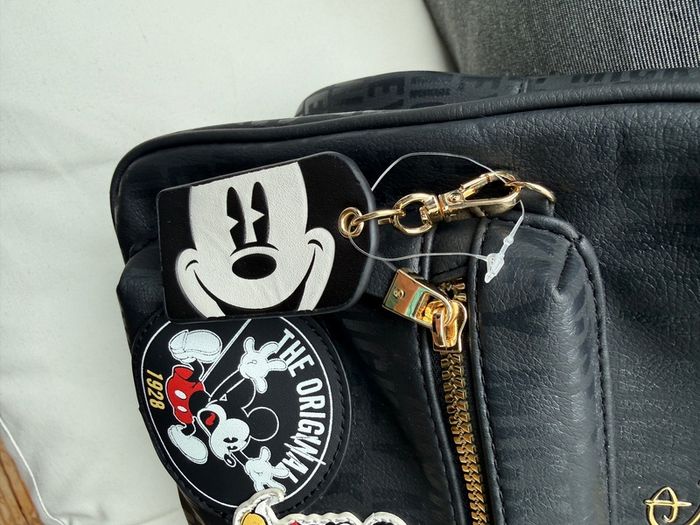 Disney Bag