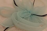 Ladies fascinator