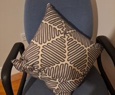 cushion pair x2