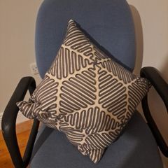cushion pair x2