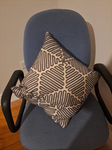 cushion pair x2