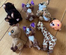 TY beanie boo teddies