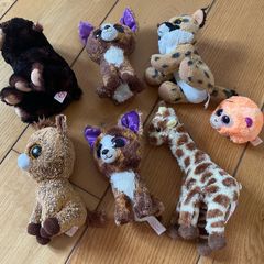 TY beanie boo teddies