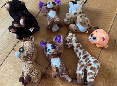 TY beanie boo teddies