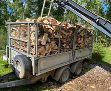 Firewood