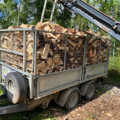 Firewood