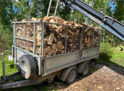 Firewood