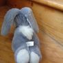 Cuddly Bunny Rabbit for Sale Image 3