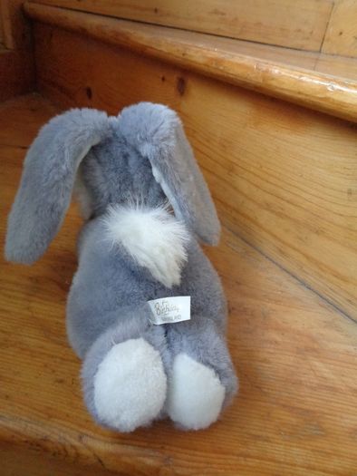 Cuddly Bunny Rabbit for Sale