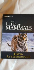 Life of mammals